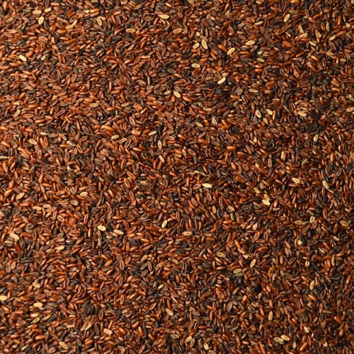 Buckwheat (Mancan) » Green Cover Seed