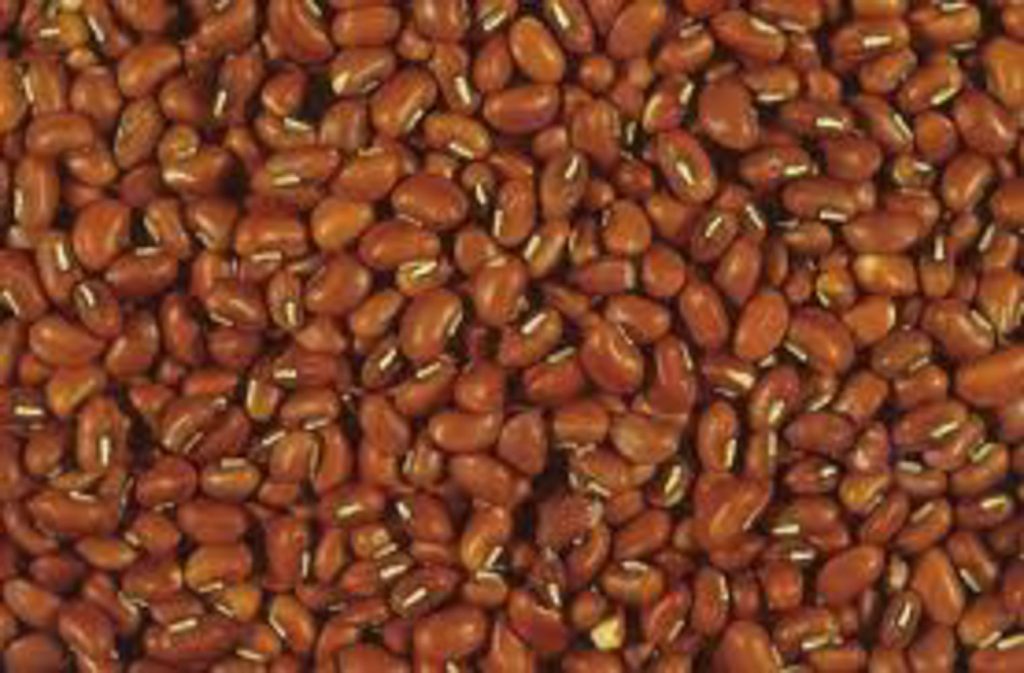 Cowpeas (Iron & Clay) » Green Cover Seed
