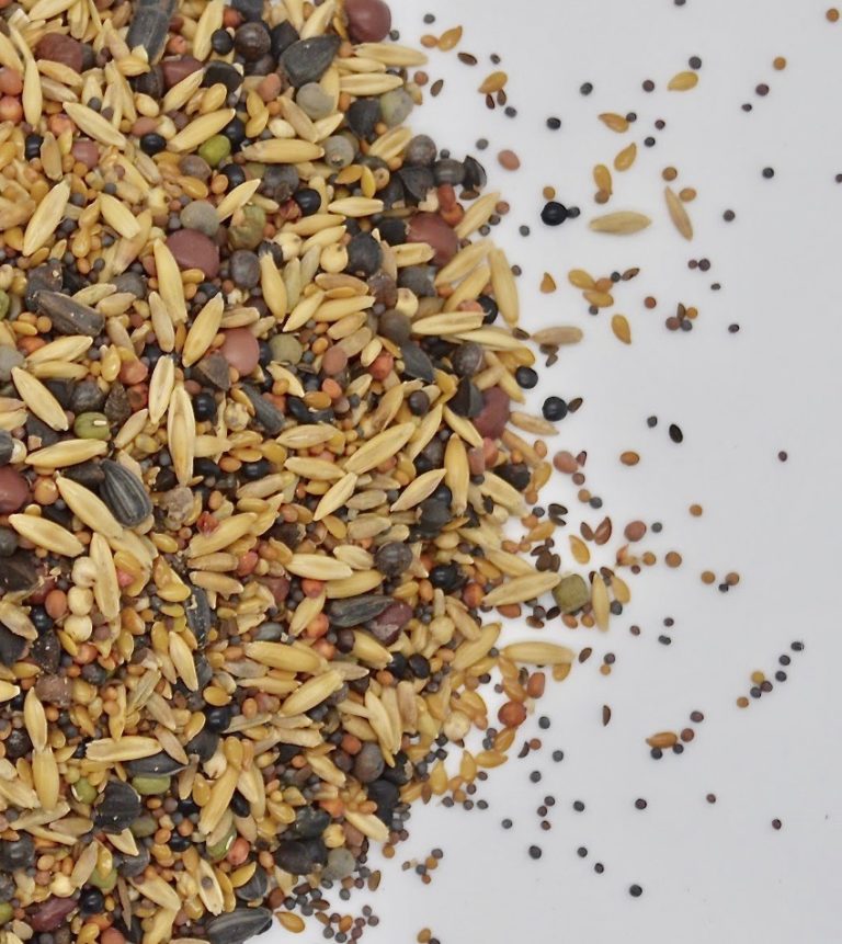 High Diversity Mix » Green Cover Seed