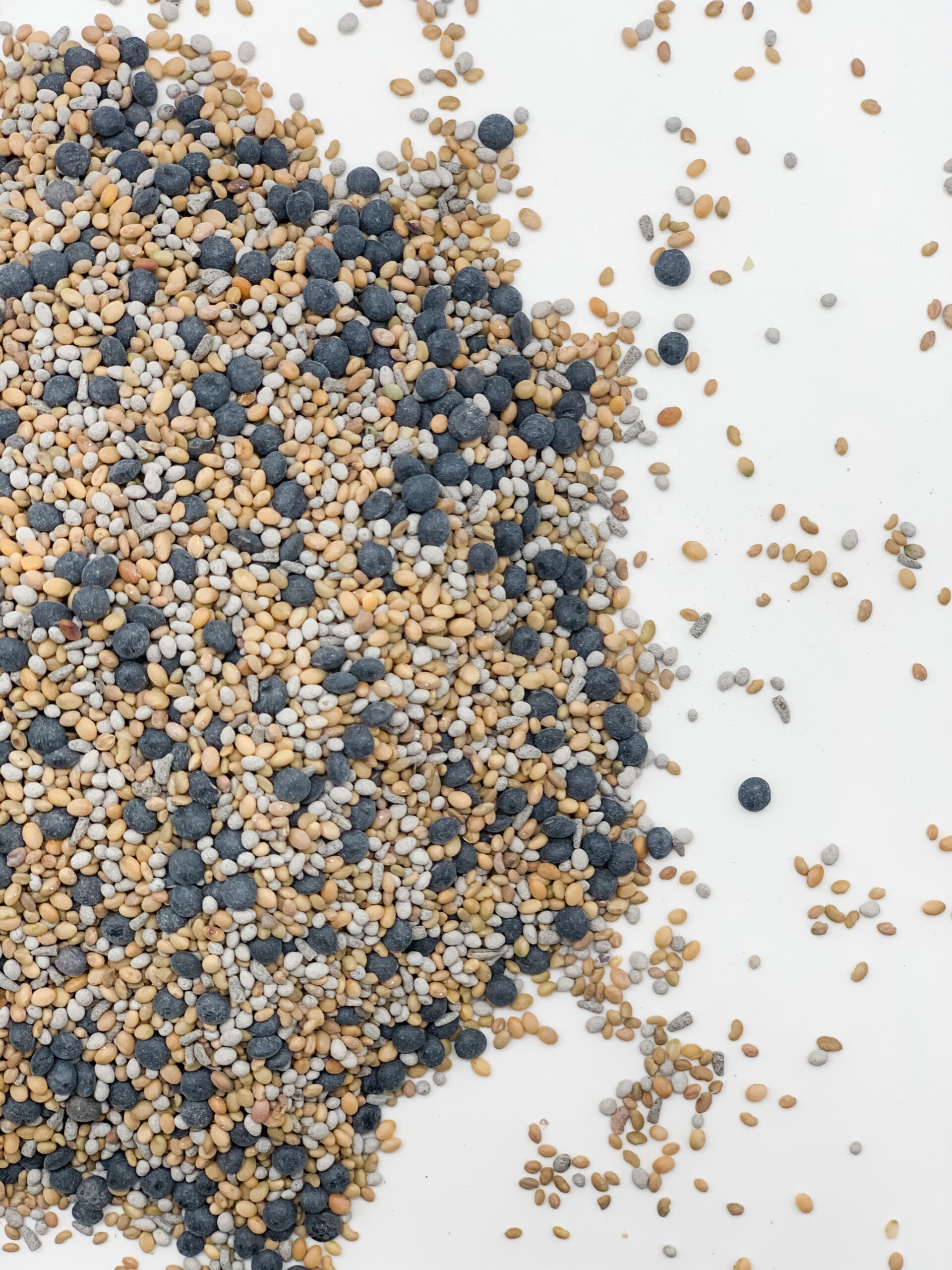 Early Start Release Broadcast » Green Cover Seed