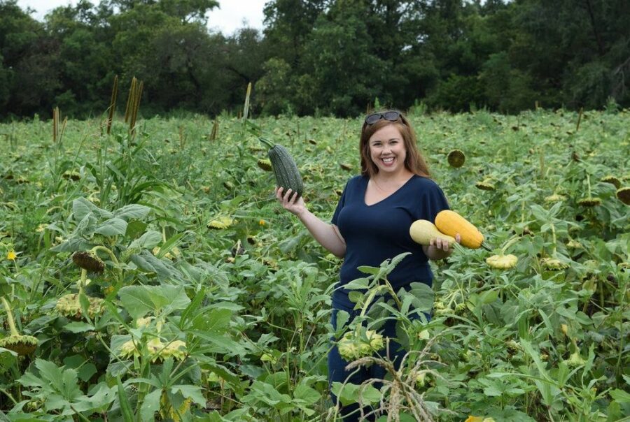 MILPA Garden Mix » Green Cover Seed