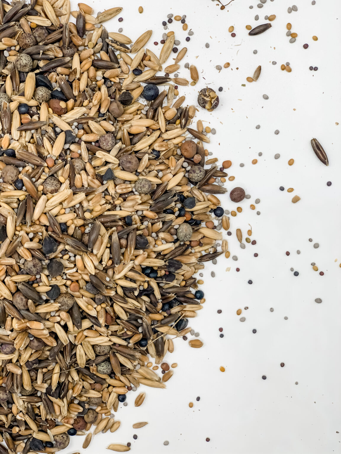 Fall Release » Green Cover Seed